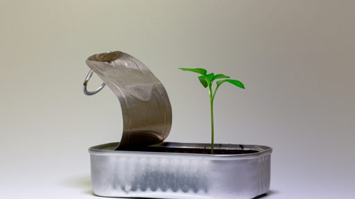 silver steel flower pot on white table