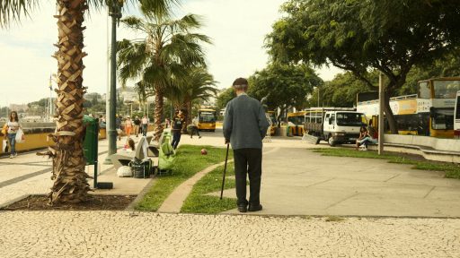 a man standing on a sidewalk next to a palm tree