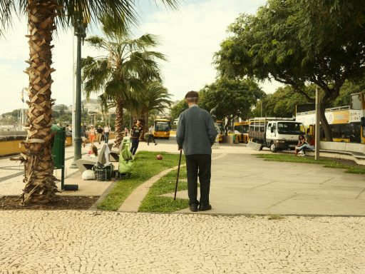 a man standing on a sidewalk next to a palm tree